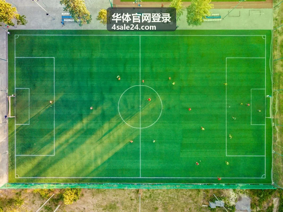 华体官网登录入口与服务状态显示